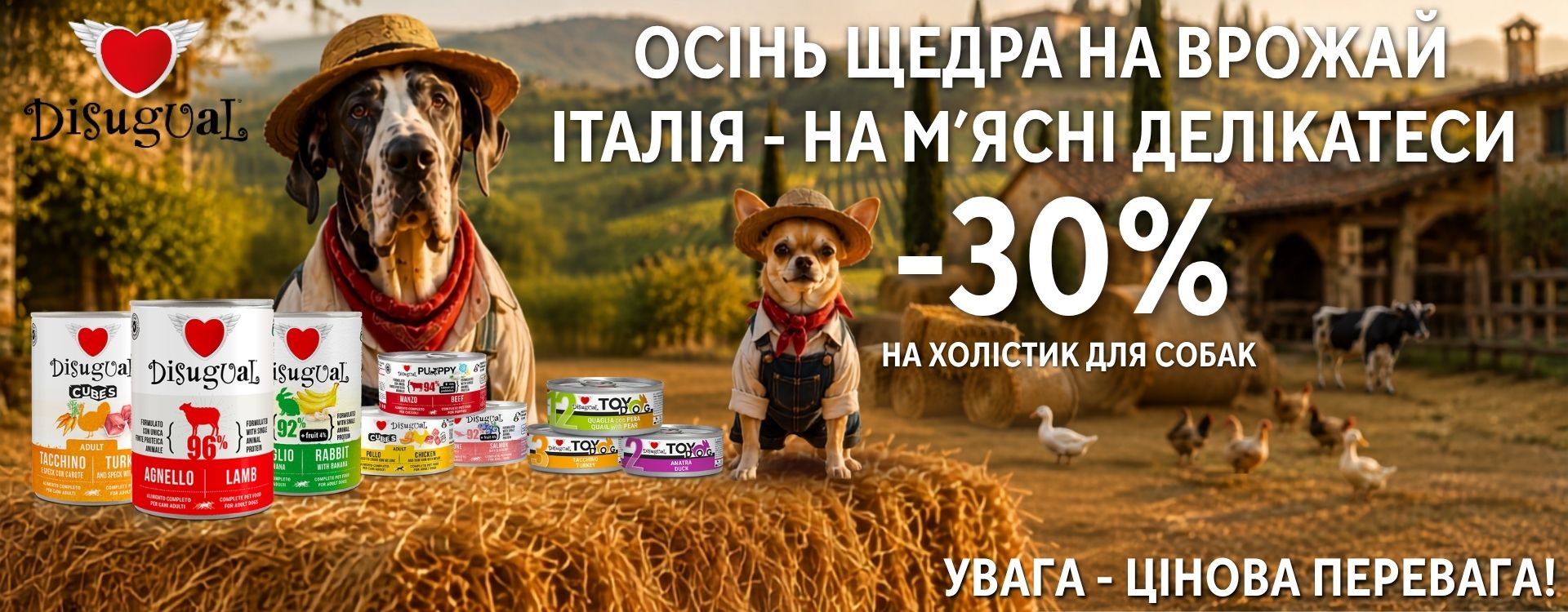 vologyy-korm-dlya-sobak-Disugual-new-year2025