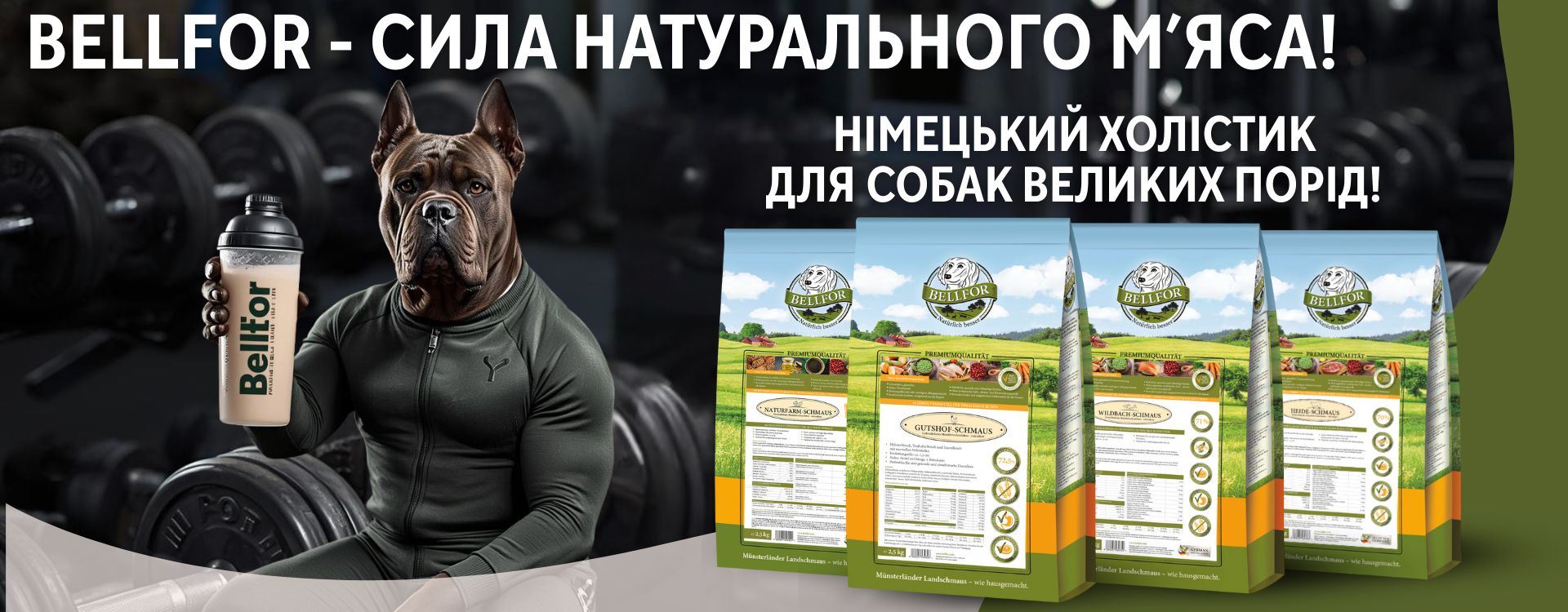 suhyy-korm-dlya-sobak-bellfor
