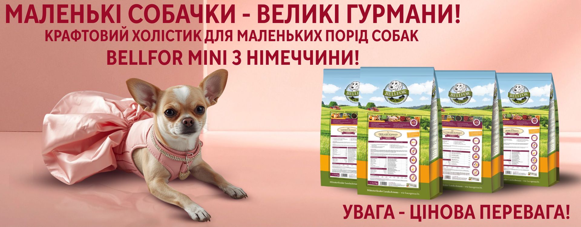 suhyy-korm-dlya-sobak-mini-bellfor