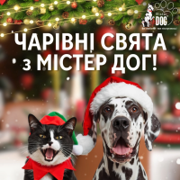 Чарівні свята з Містер Дог!