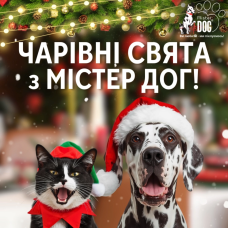 Чарівні свята з Містер Дог!