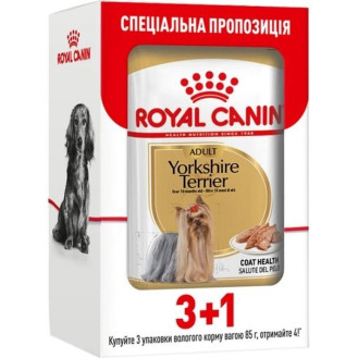 Royal Canin Yorkshire Terrier Adult Влажный корм для собак породы Йоркширский Терьер в возрасте от 10 месяцев (340 г (3+1))