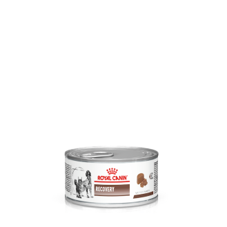Royal Canin Veterinary Recovery Loaf Консерва лечебная паштет для взрослых собак и котов в период восстановления после болезни (195 г)