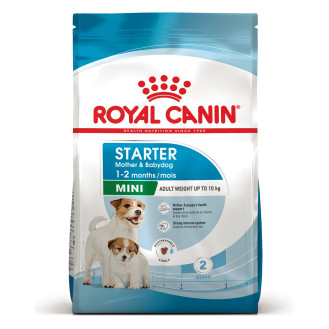 Royal Canin Mini Starter Сухой корм для щенков в возрасте до 2 месяцев и кормящих собак маленьких пород (1 кг)