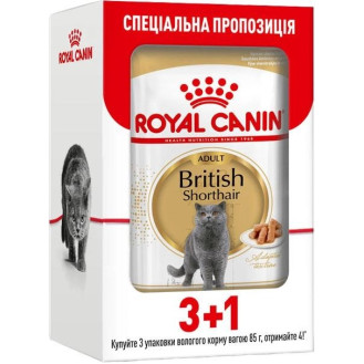 Royal Canin British Shorthair Adult Влажный корм в соусе для взрослых котов и кошек породы Британская Короткошерстная (340 г (3+1))