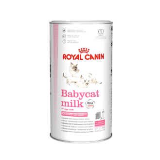 Royal Canin Babycat Milk 1st Age Milk Заменитель кошачьего молока для котят с рождения до отлучения (100 г)