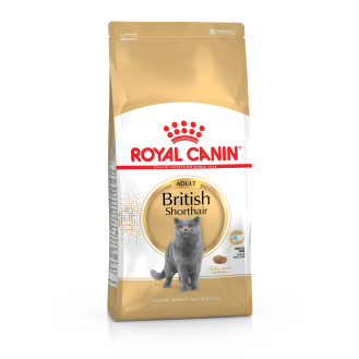 Royal Canin British Shorthair Adult Сухой корм для котов и кошек породы Британская Короткошерстная (10 кг)