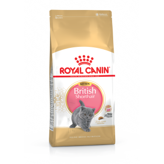 Royal Canin British Shorthair Kitten Сухой корм для котят в возрасте до 12 месяцев породы Британская Короткошерстная (2 кг)
