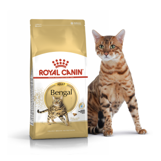 Royal Canin Bengal Adult Сухой корм для котов и кошек породы Бенгальская (2 кг)