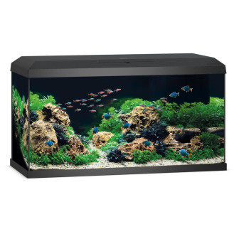 Juwel Primo 110 LED Аквариум 110 л с комплектом оборудования и системой фильтрации Bioflow Super (Black)