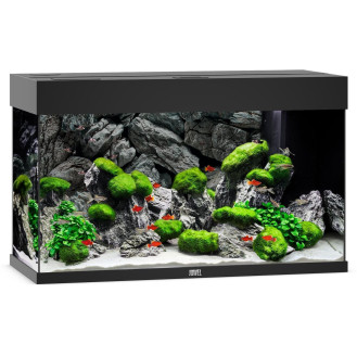 Juwel Rio 125 LED Аквариум 125 л с комплектом оборудования и системой фильтрации Bioflow M (Black)