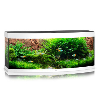 Juwel Vision 450 LED Панорамный аквариум 450 л с комплектом оборудования и системой фильтрации Bioflow XL (White)