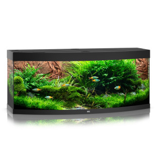 Juwel Vision 450 LED Панорамный аквариум 450 л с комплектом оборудования и системой фильтрации Bioflow XL (Black)