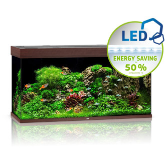 Juwel Rio 350 LED Аквариум 350 л с комплектом оборудования и системой фильтрации Bioflow L (DWood)