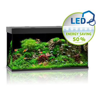 Juwel Rio 350 LED Аквариум 350 л с комплектом оборудования и системой фильтрации Bioflow L (Black)