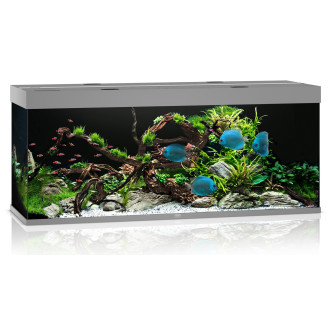 Juwel Rio 450 LED Аквариум 450 л с комплектом оборудования и системой фильтрации Bioflow XL (Grey)