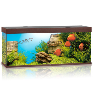 Juwel Rio 450 LED Аквариум 450 л с комплектом оборудования и системой фильтрации Bioflow XL (DWood)