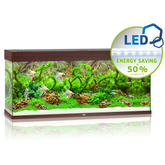  Juwel Rio 240 LED Аквариум 240 л с комплектом оборудования и системой фильтрации Bioflow M (DWood)