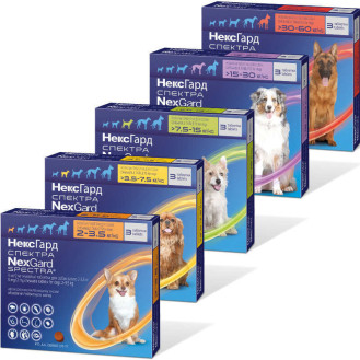 Boehringer Ingelheim NexGard Spectra Dogs Жевательные таблетки против всех видов паразитов для собак НексГард Спектра (2-3,5 кг)