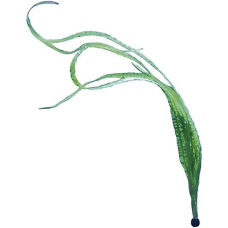 Nobby Aqua Plant Kalamistratum Декоративное растение для аквариума Каламистратум (40,5 см)