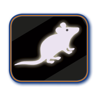 Nobby Laser Игрушка для котов Лазерная указка Мышка (7,5 см)