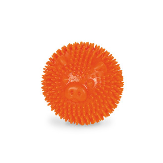 Nobby Dental Игрушка для ухода за зубами собак Мяч Свинка Шипованная (Orange Ø 6,5 см)