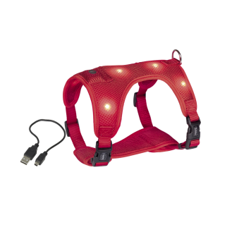 Nobby Flash Mesh LED Vest Harness Светодиодная анатомическая шлея-жилет для собак, светящаяся ночью (Red L)