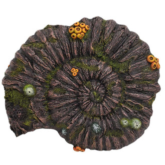 Nobby Aqua Ornaments Ammonite Fossil Декор для аквариума Амонитовая Окаменелость (33,8 см)