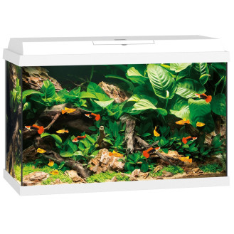 Juwel Primo 70 LED Аквариум 70 л с комплектом оборудования и системой фильтрации Bioflow One (White)