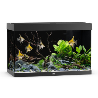 Juwel Rio 290 LED Аквариум 290 л с комплектом оборудования и системой фильтрации Bioflow L (Black)