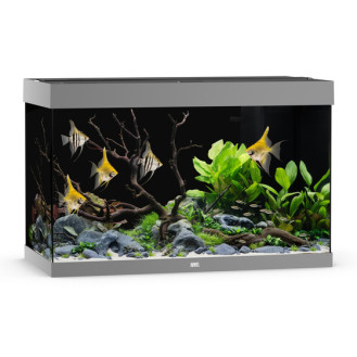 Juwel Rio 290 LED Аквариум 290 л с комплектом оборудования и системой фильтрации Bioflow L (Grey)