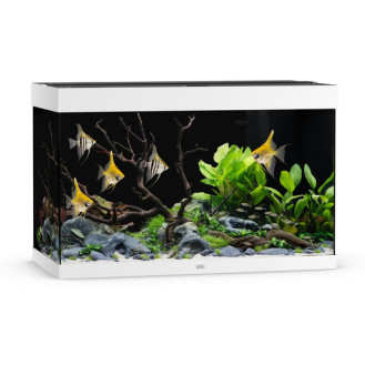Juwel Rio 290 LED Аквариум 290 л с комплектом оборудования и системой фильтрации Bioflow L (White)