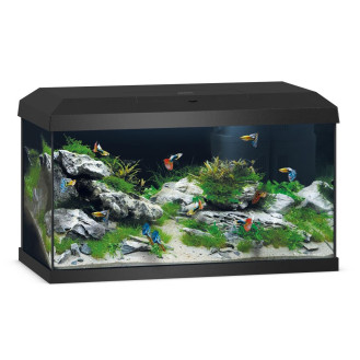 Juwel Primo 60 LED 2.0 Аквариум 57 л с комплектом оборудования и системой фильтрации Bioflow One (Black)
