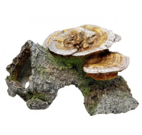 Aquadecore Cave mushrooms 