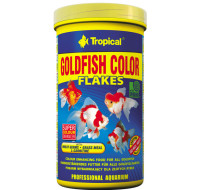 Tropical Goldfish Color