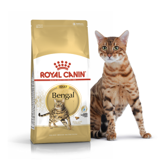 Royal Canin Bengal Adult Сухой корм для котов и кошек породы Бенгальская