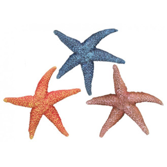 Nobby Aqua Ornaments Starfish Декор для акваріума Морська зірка