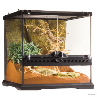 Exo Terra Natural Terrarium Mini Wide PT2600 Тераріум скляний 30 х 30 х 30 см