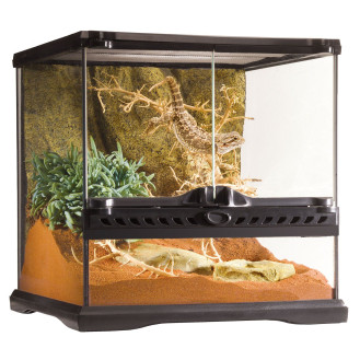 Exo Terra Natural Terrarium Mini Wide Тераріум скляний 30 х 30 х 30 см