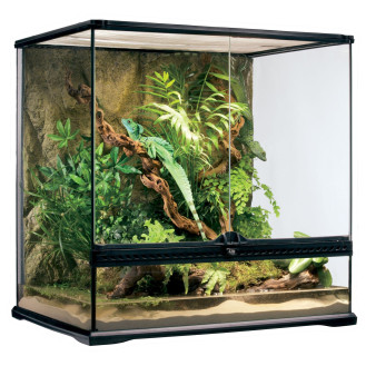 Exo Terra Natural Terrarium Medium Tall Террариум стеклянный 60 x 45 x 60 см