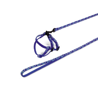 Nobby Rabbit Harness Carrot Правильная шлея-петля с поводком для кроликов Морковь (Blue)