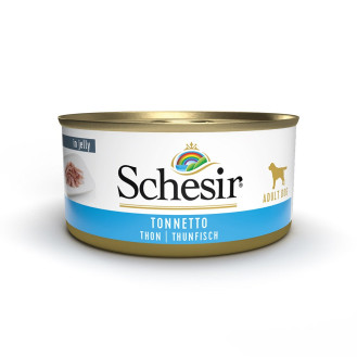Schesir Adult Dog Tuna in Jelly Консерва для собак в возрасте от 1 года Тунец в желе