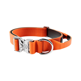 BullyBillows Combat Collar Handle Platinum 4 cm Тактический ошейник для собак с ручкой и платиновым рывковым замком (Orange M)