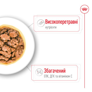 hover image