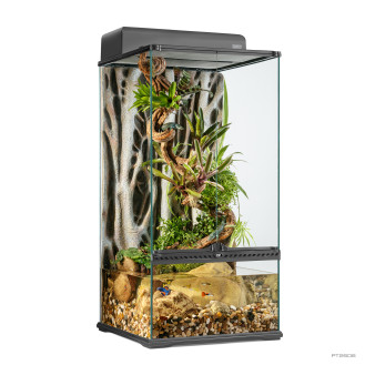 Exo Terra Natural Terrarium Small X-Tall PT2606 Скляний вертикальний тераріум з палюдаріумом 45 x 45 x 90 см