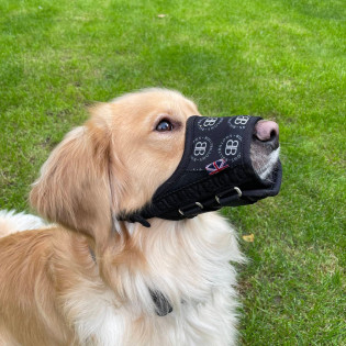 BullyBillows Fabric Safety-Emergency Muzzle Регульований тканинний ветеринарний намордник для собак