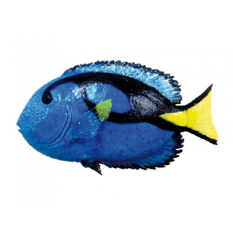 Nobby Aqua Ornaments Blue Fish Декор для аквариума Рыба Голубой доктор