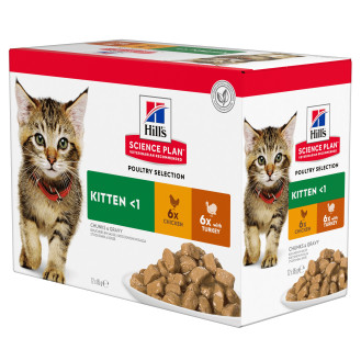 Hill's Science Plan Multipack Kitten Chicken & Turkey Набір вологого корму з куркою та індичкою для кошенят