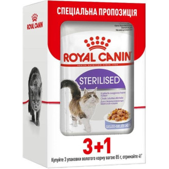 Royal Canin Sterilised Jelly Влажный корм в желе для взрослых стерилизованных кошек (3+1)