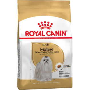 Royal Canin Maltese Adult Сухой корм для собак породы Мальтийская Болонка в возрасте от 10 месяцев